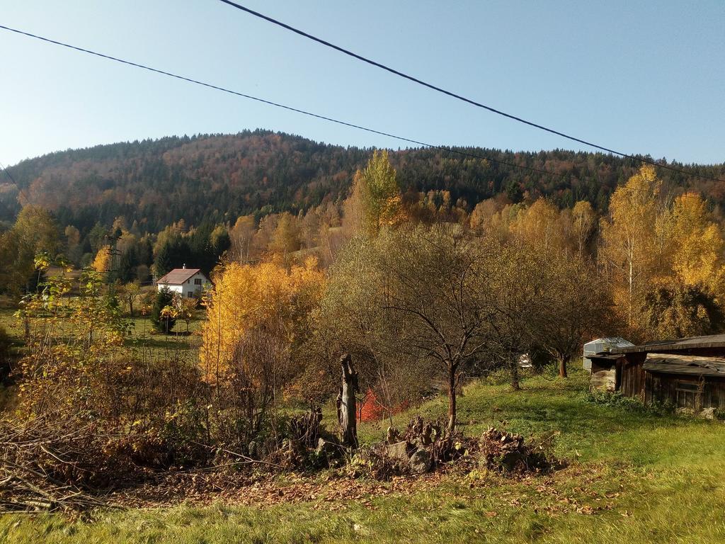 Apartment Krkonošská Tanvald Exterior foto